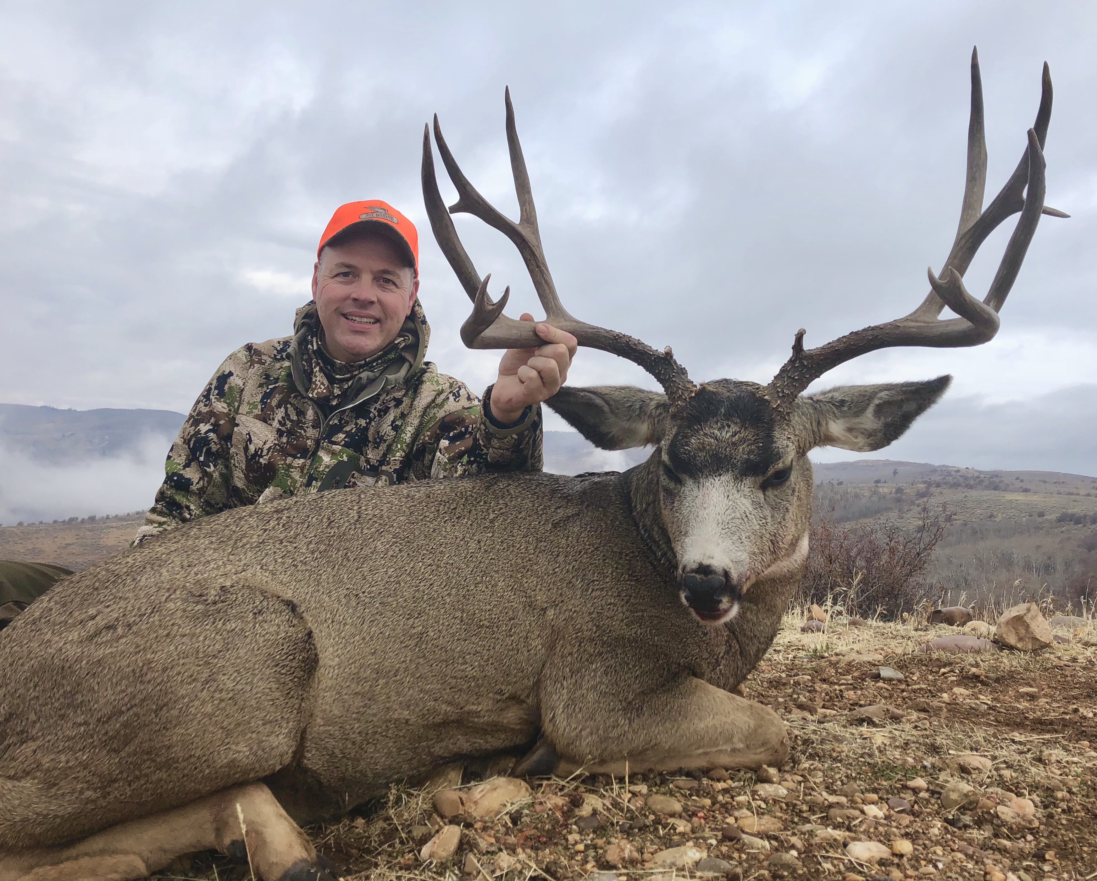 Trophy Mule Deer Hunt Utah Or Colorado Bucks Bulls Guides Outfitters