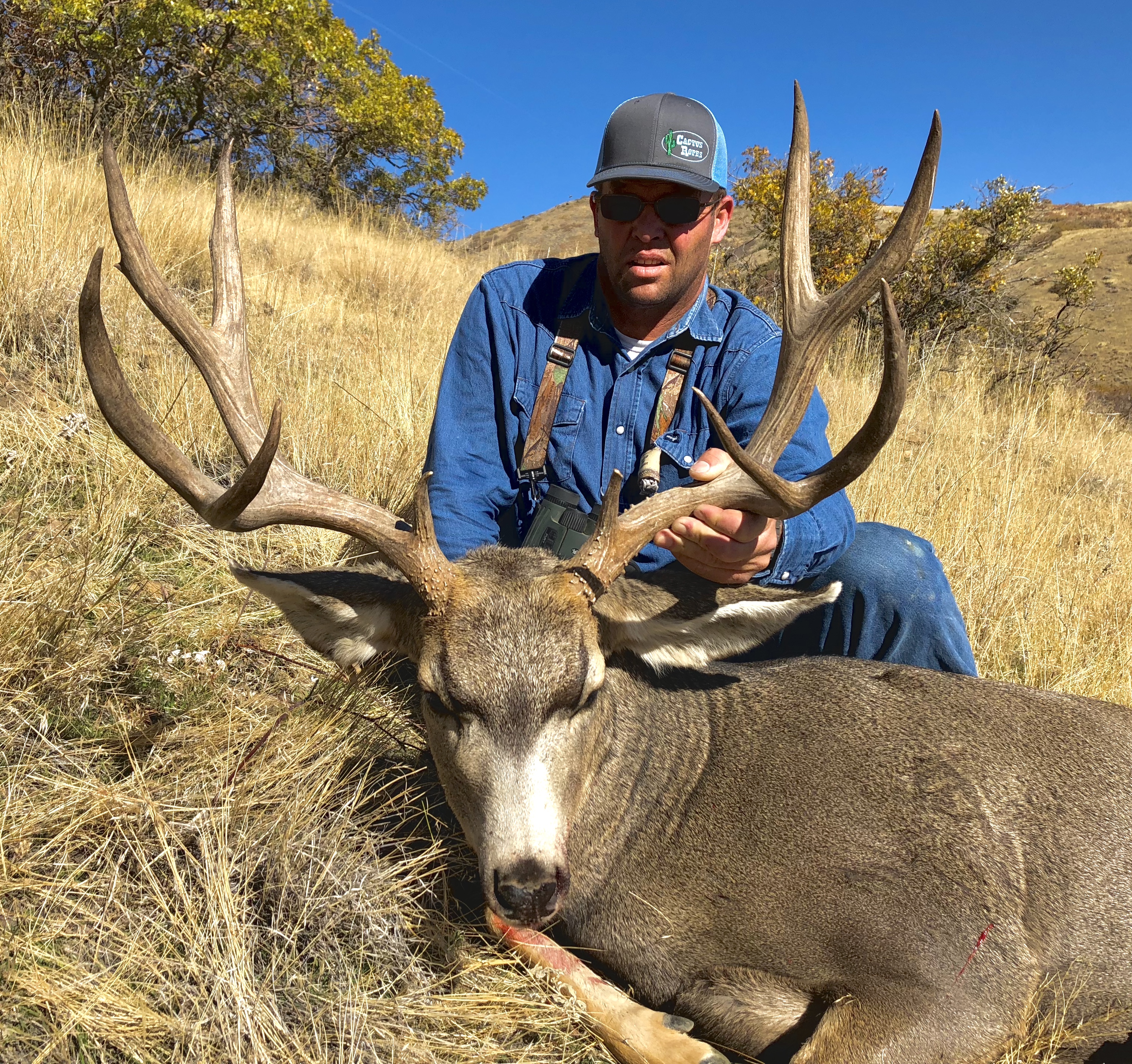 Trophy Mule Deer hunt Utah or Colorado. | Bucks & Bulls Guides & Outfitters