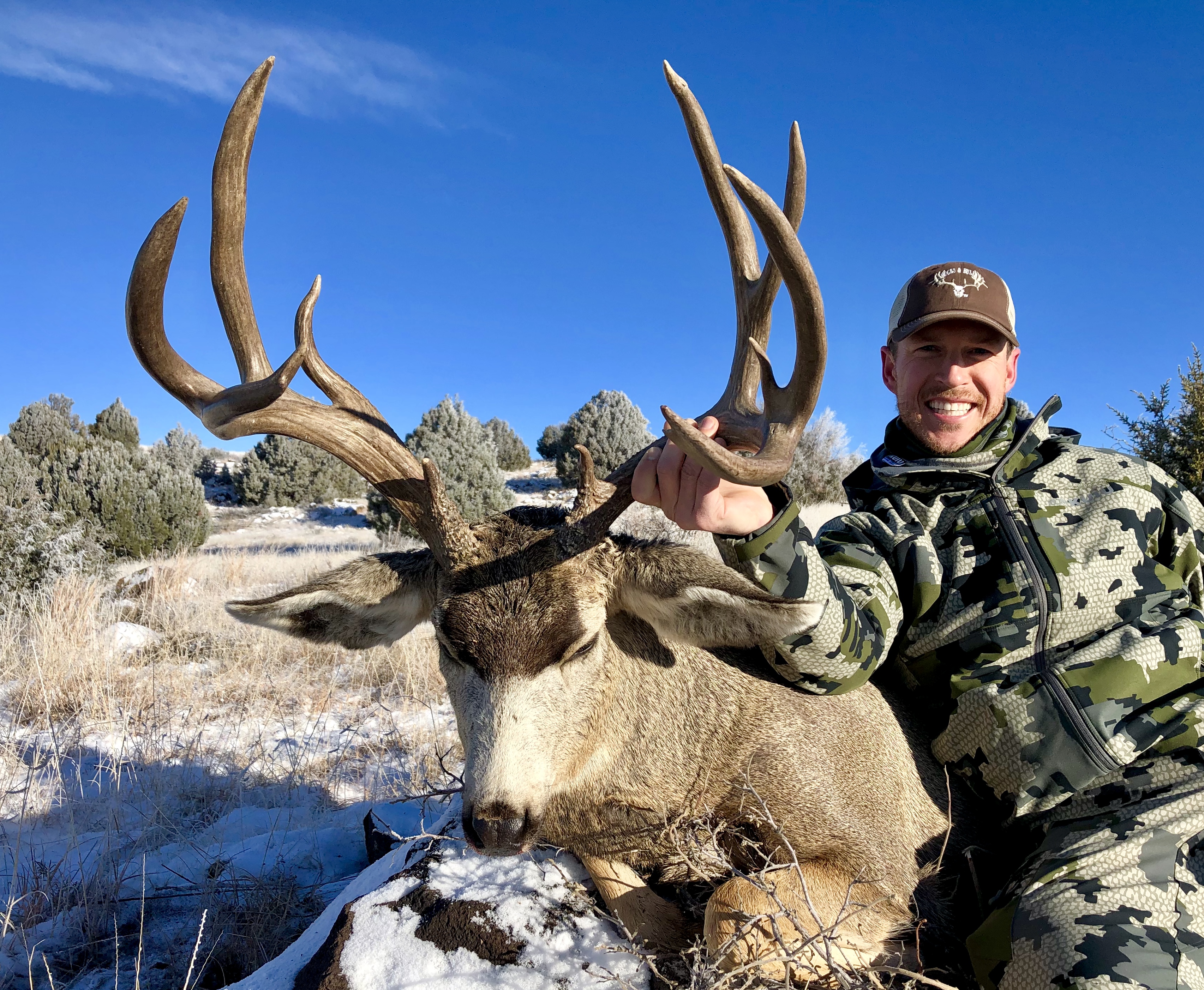 Trophy Mule Deer hunt Utah or Colorado. Bucks & Bulls Guides & Outfitters