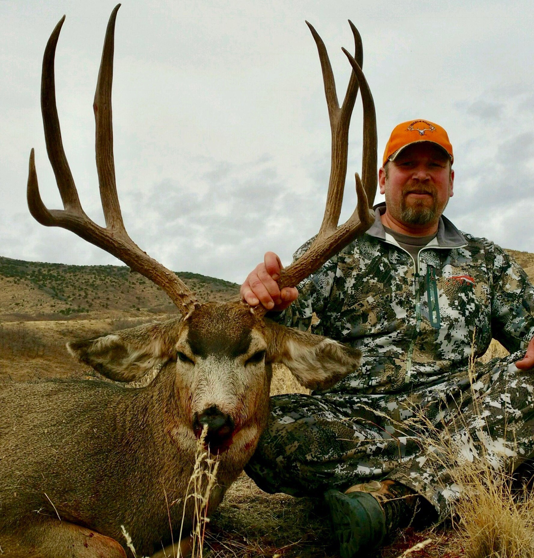 Trophy Mule Deer hunt Utah or Colorado. | Bucks & Bulls Guides & Outfitters