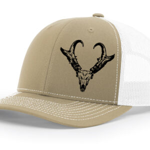 Antelope Skull