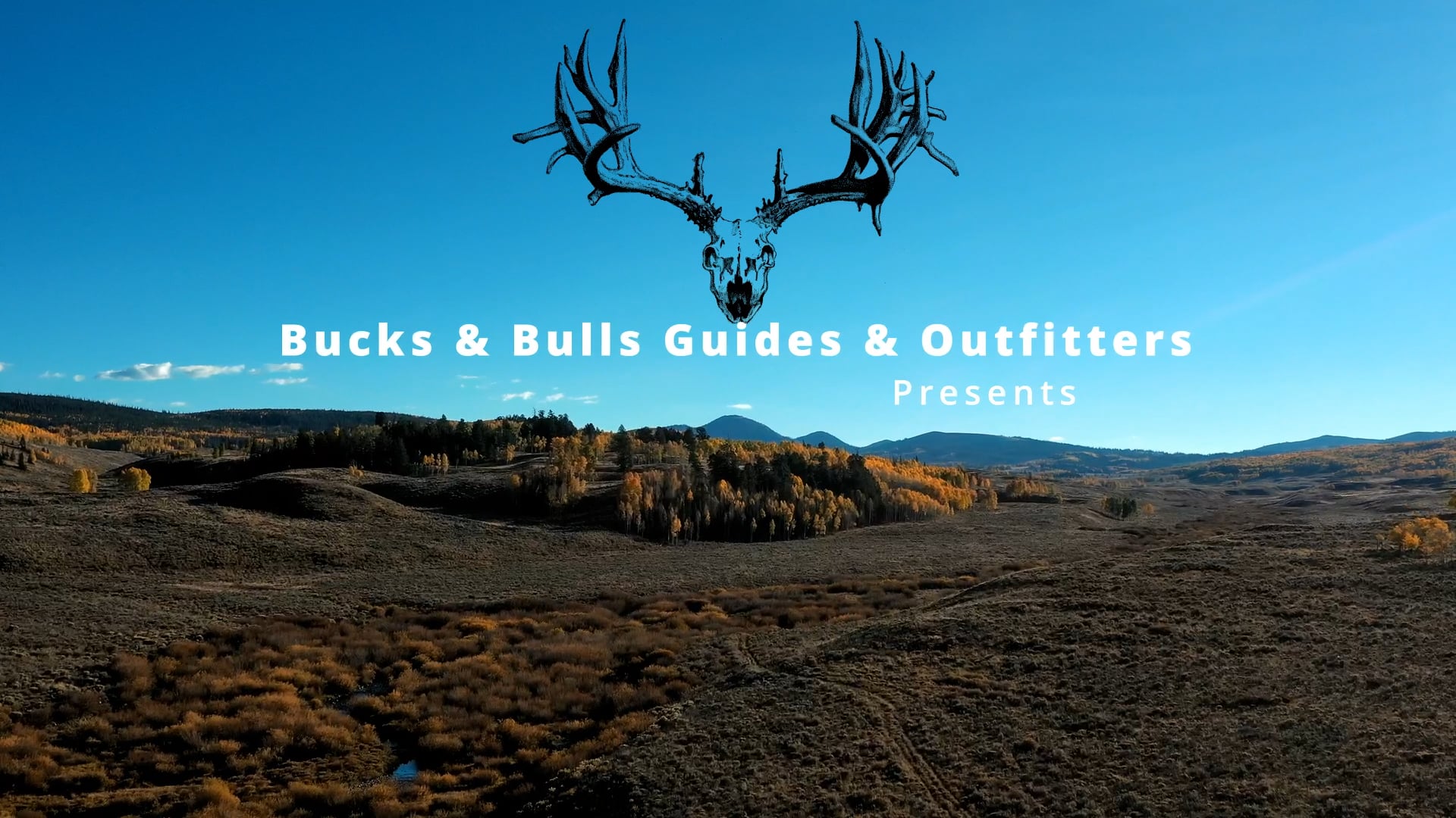 Bull gets called to 80 yards - Bucks & Bulls Guides & Outfitters